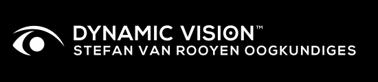 Dynamic Vision Logo